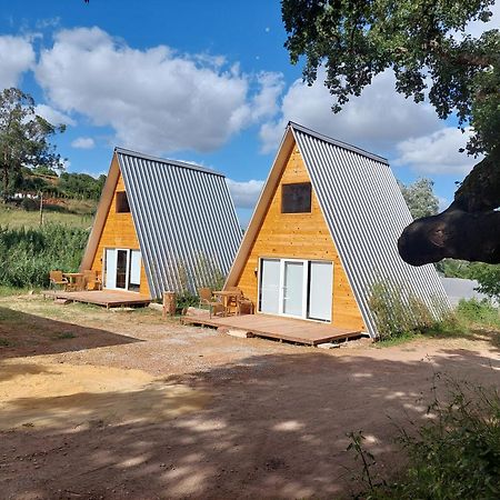 Falcoaria Setubal Bagian luar foto