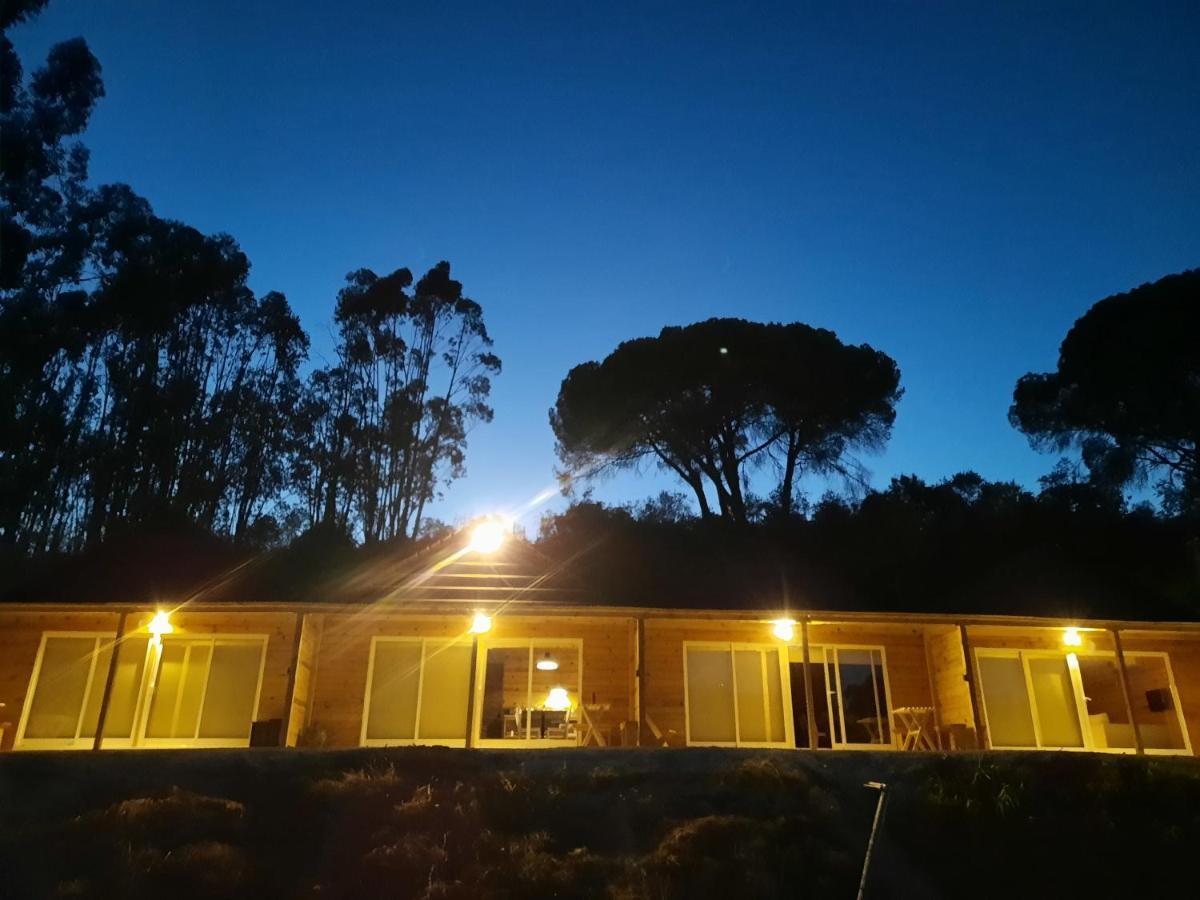 Falcoaria Setubal Bagian luar foto