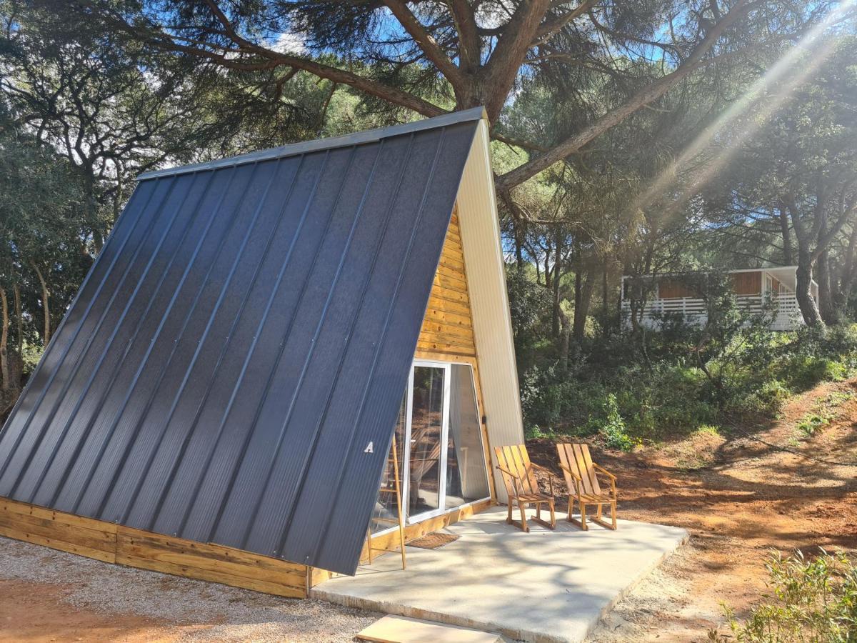 Falcoaria Setubal Bagian luar foto