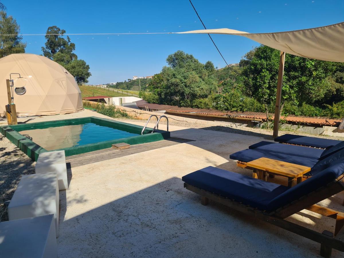 Falcoaria Setubal Bagian luar foto