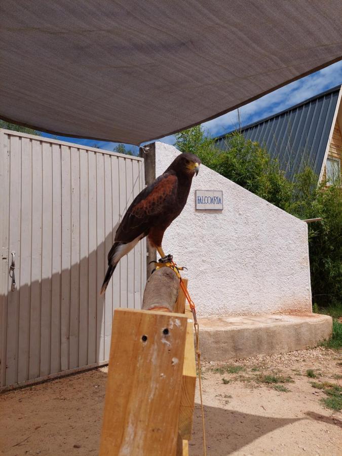 Falcoaria Setubal Bagian luar foto
